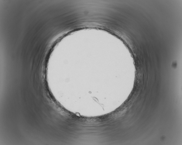 X0000116820979201001291618