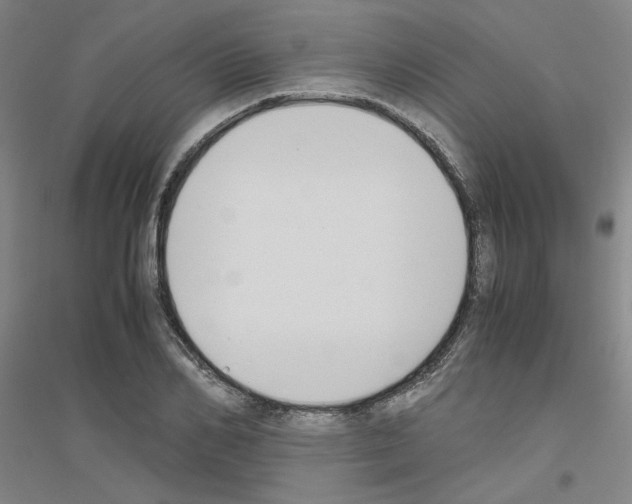 X0000116820982201001291618