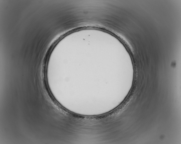 X0000116820983201001291618