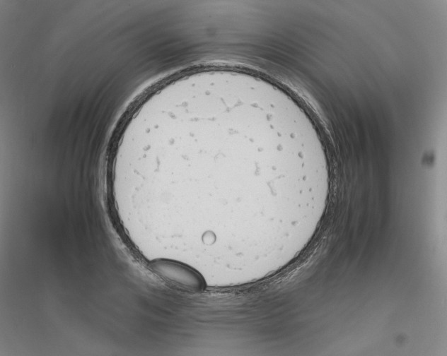 X0000116820984201001291618