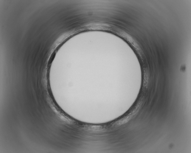 X0000116820986201001291618