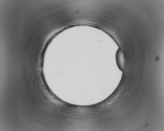 X0000116820987201001291618