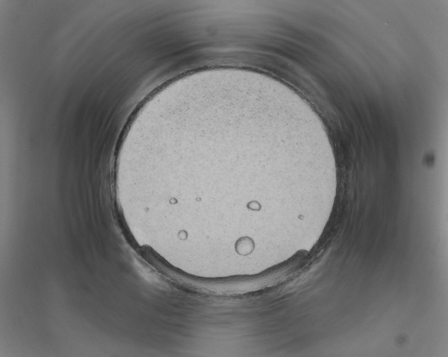 X0000116820988201001291618