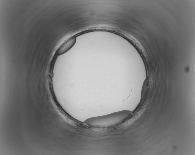 X0000116820989201001291618