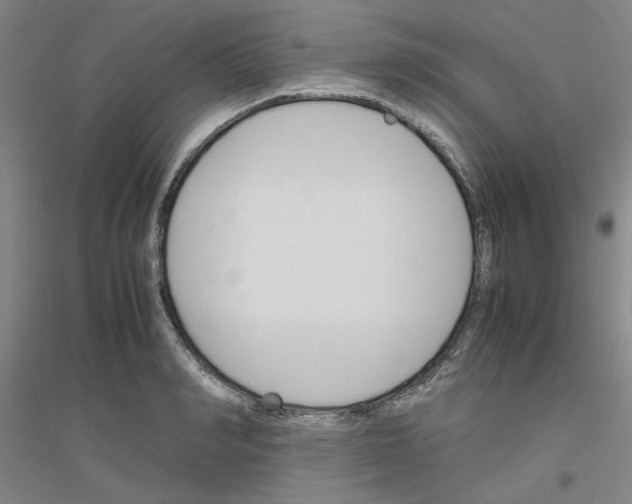 X0000116820990201001291618