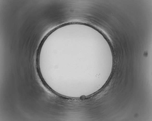 X0000116820991201001291618