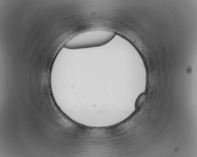 X0000116820993201001291618