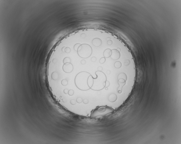 X0000116820994201001291618