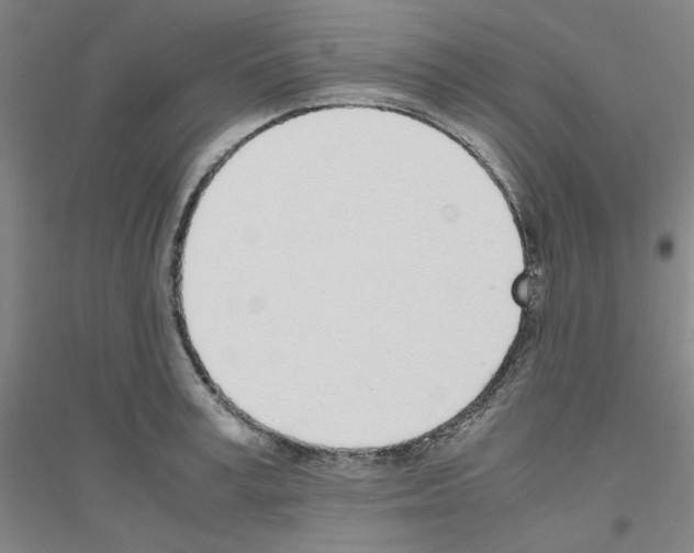 X0000116820995201001291618