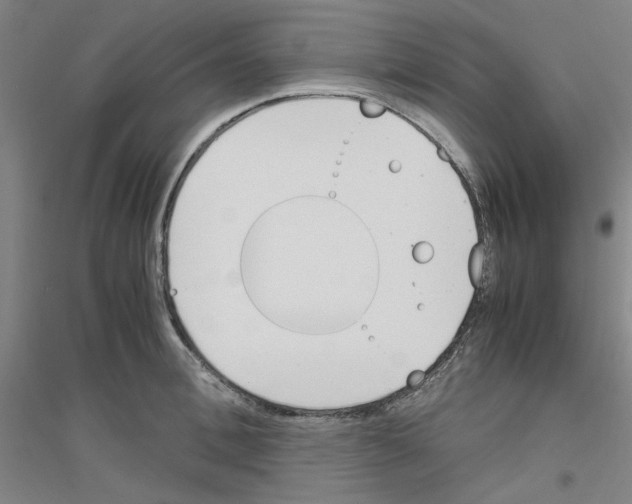 X0000116820996201001291618