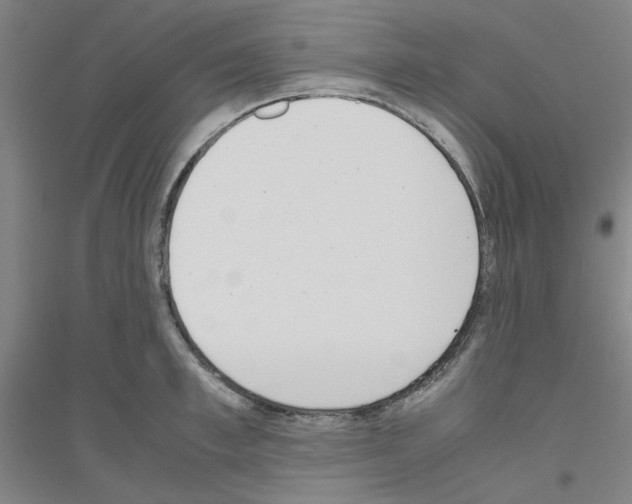 X0000116820997201001291618