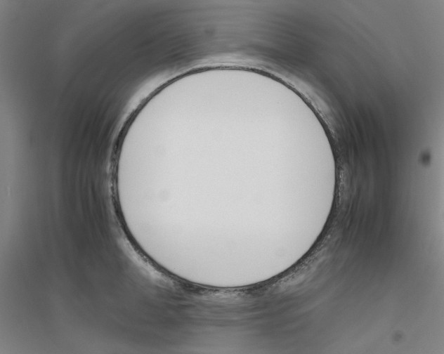 X0000116820998201001291618