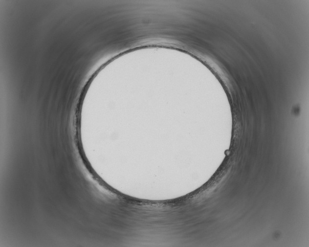 X0000116820999201001291618