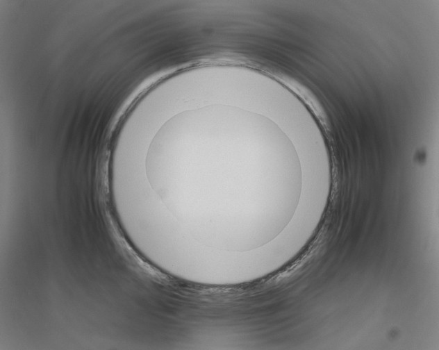 X0000116821000201001291618