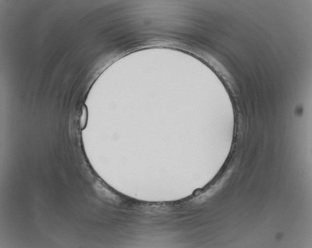 X0000116821001201001291618