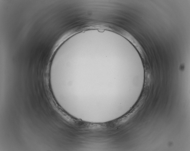 X0000116821002201001291618