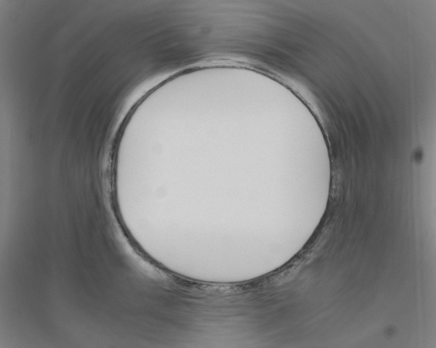 X0000116821003201001291618