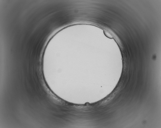 X0000116821004201001291618