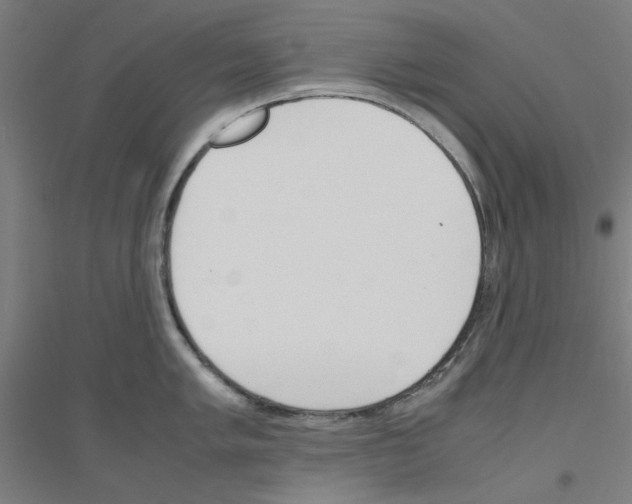 X0000116821005201001291618