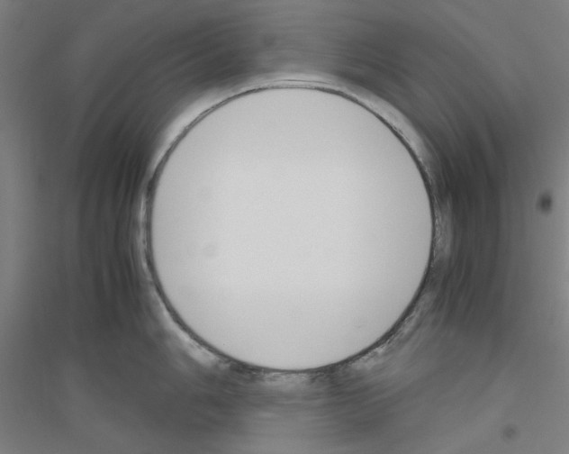 X0000116821006201001291618