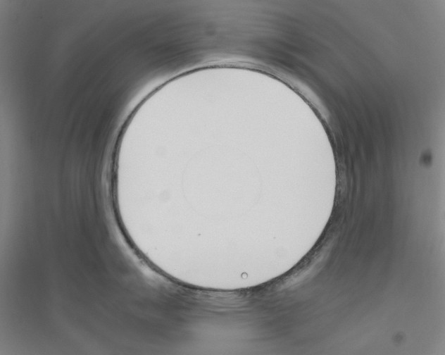 X0000116821007201001291618