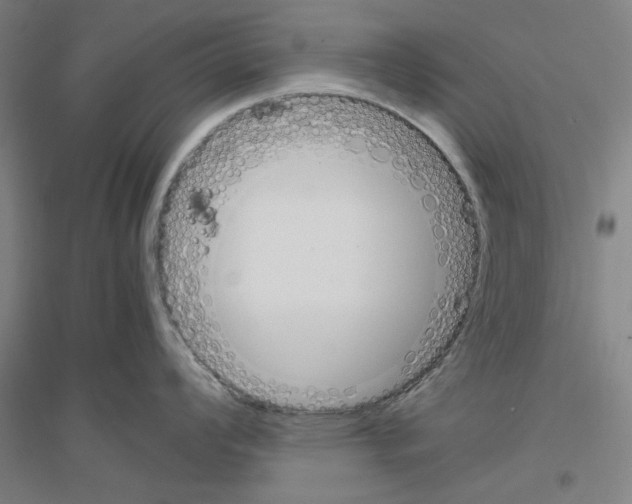 X0000116821008201001291618