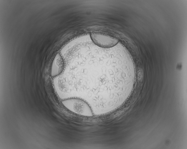 X0000116821011201001291617