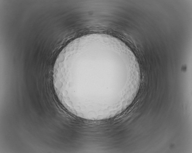 X0000116821012201001291617