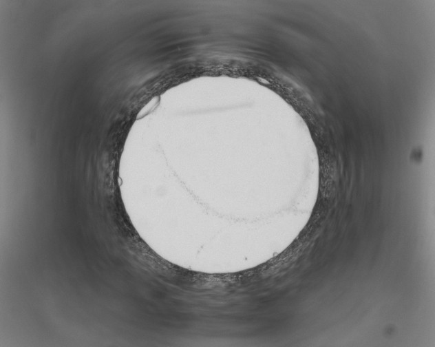 X0000116821013201001291617