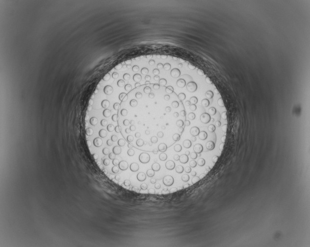 X0000116821014201001291617