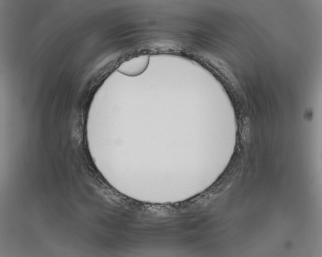 X0000116821015201001291617