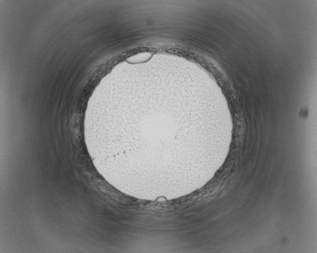 X0000116821016201001291617