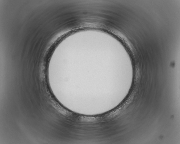 X0000116821019201001291618