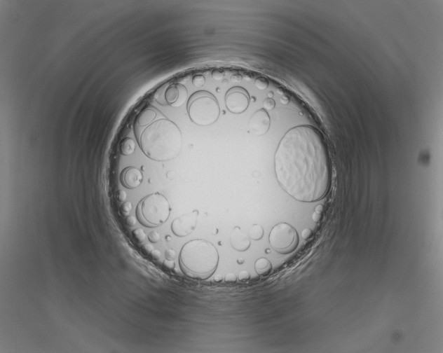 X0000116821020201001291618