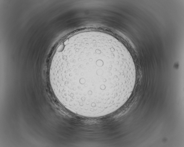 X0000116821021201001291618