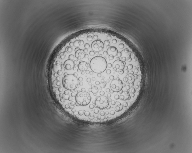 X0000116821022201001291618