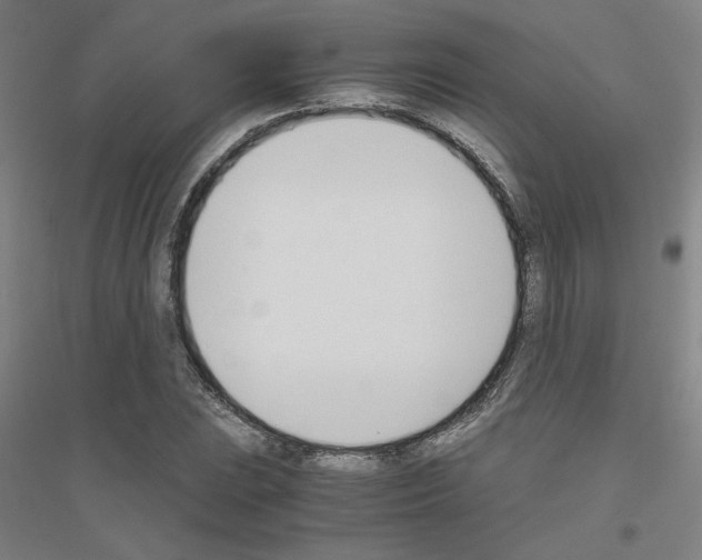 X0000116821023201001291618