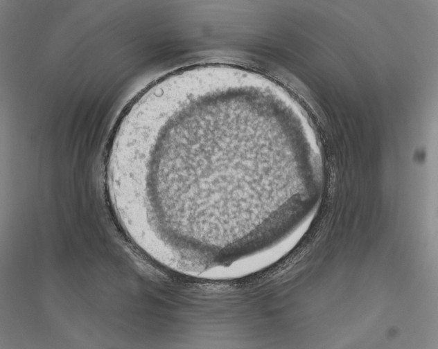 X0000116821024201001291618