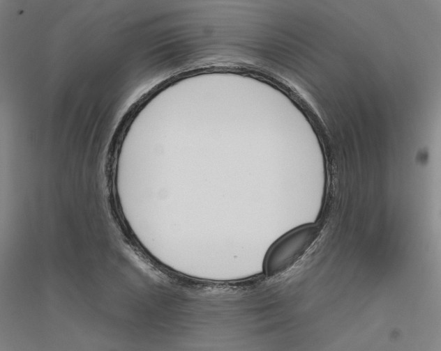 X0000116821026201001291618