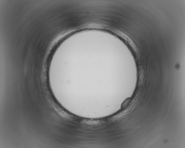 X0000116821027201001291618