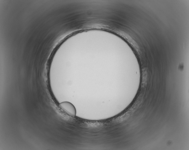 X0000116821031201001291618