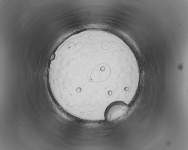 X0000116821033201001291618