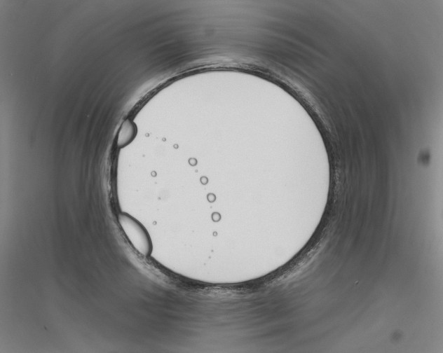 X0000116821034201001291618