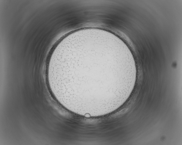 X0000116821035201001291618