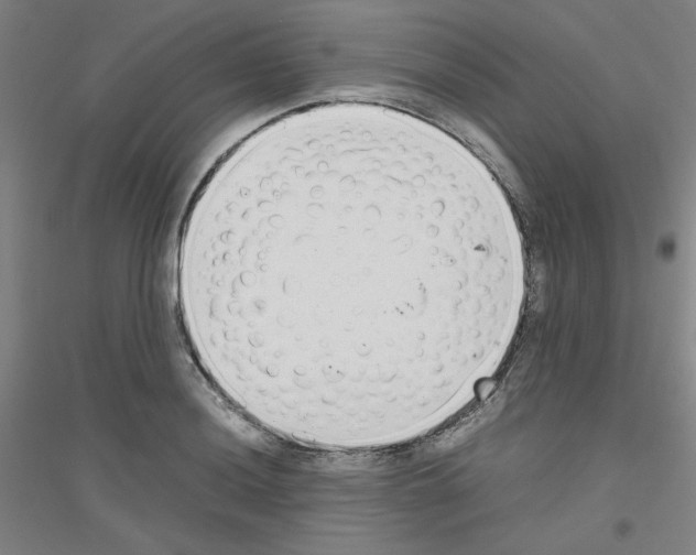 X0000116821036201001291618