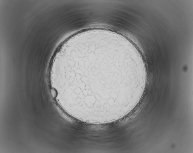 X0000116821037201001291618