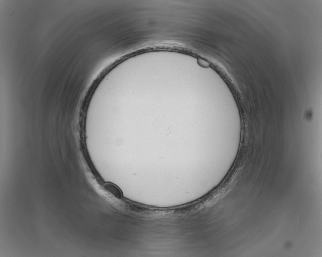 X0000116821038201001291618