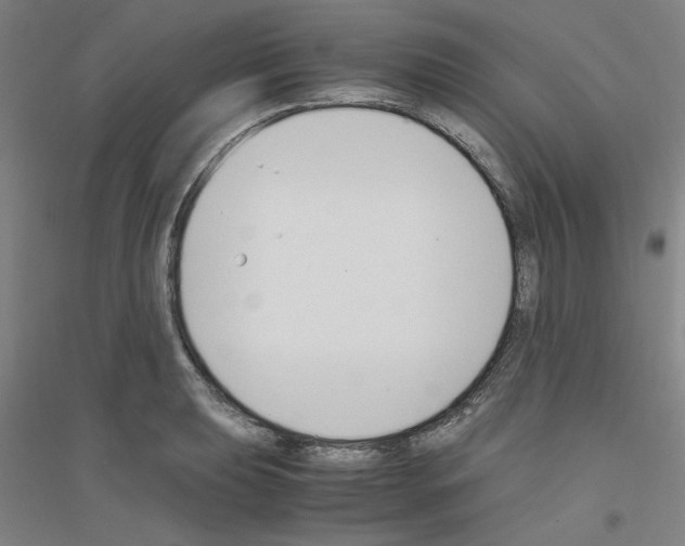 X0000116821039201001291618