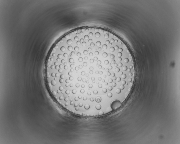 X0000116821040201001291618