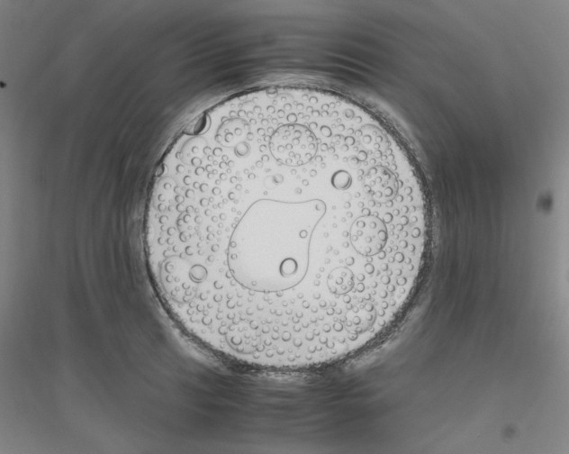 X0000116821041201001291618